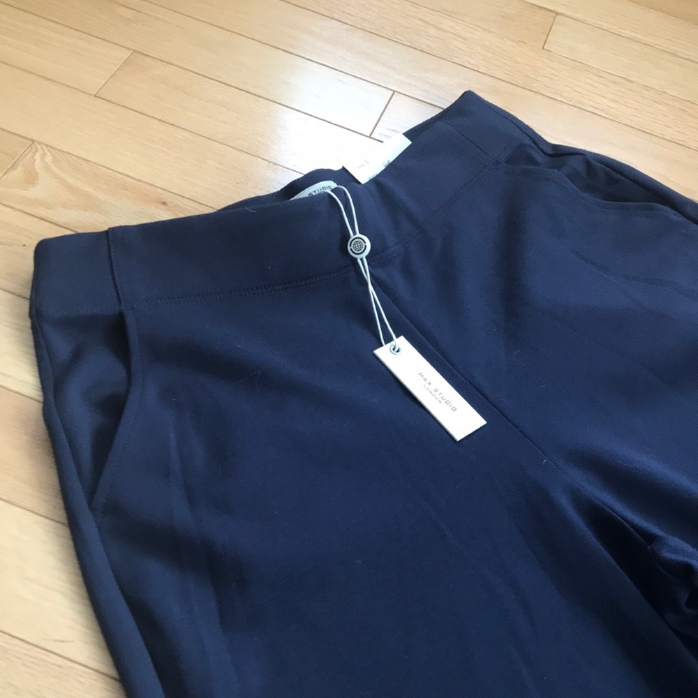 NWT Max Studio Trouser